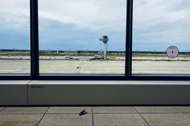 Flug in den Tod: Ein Vogel auf der Besucherterrasse des Airports.