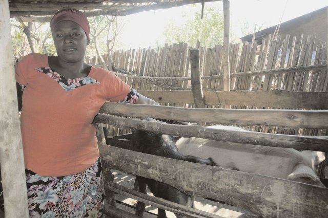 Jeanne Ndayikeje konnte sich mit dem Kredit ihrer Spargruppe ein Schwein kaufen.
