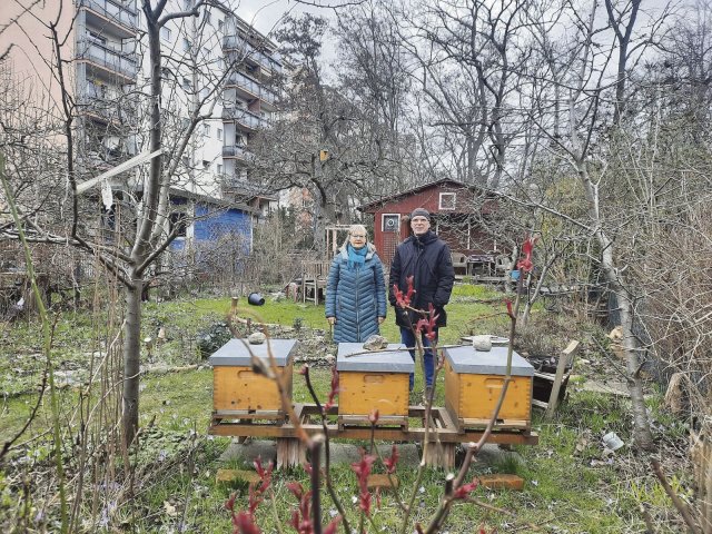Die letzten Monate für Natur und Gärtner*innen: Gabriele Gutzmann und Jürgen Heilmann bei den Bienenstöcken in Heilmanns Gartenstück.