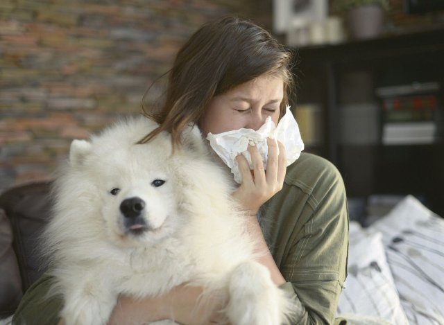 Vor allem für Kinder ein großer Konflikt: Unter der Allergie leiden oder das Tier abgeben?