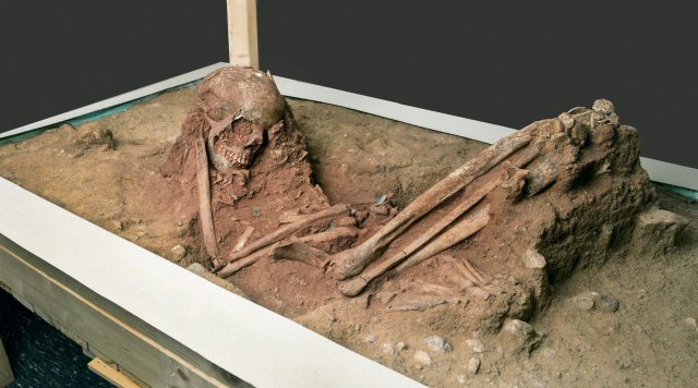 Das wahrscheinlich weibliche Skelett aus der hockenden Bestattung ist nun teilweise freigelegt.