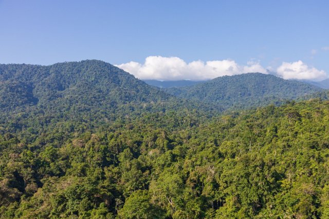 Ursprünglicher Regenwald bedeckt die Ausläufer der Talamanca-Gebirgskette.