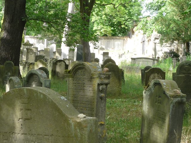 Auf dem jüdischen Friedhof am Potsdamer Pfingstberg