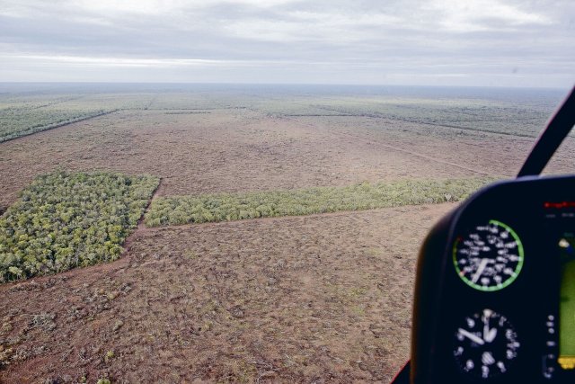 Der Gran Chaco ist nach dem Amazonasgebiet das zweitgrößte Waldökosystem in Südamerika und besonders stark von Rodung betroffen.
