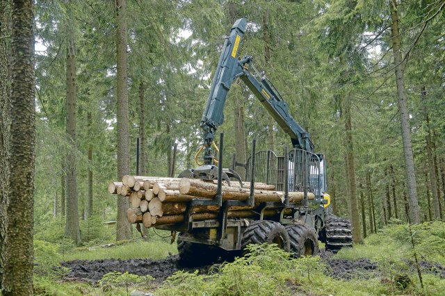 Holzernte im Thüringer Wald. Das Land darf weiter nicht nur sein eigenes Holz vermarkten. Doch der Kartellstreit ist nach der Entscheidung des Landgerichts Erfurt noch nicht abgeschlossen.
