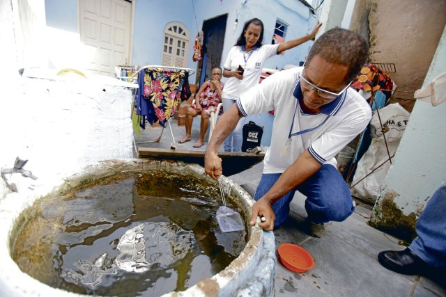 Stehendes Wasser ist eine Brutstätte für Ägyptische Tigermücken, die Hauptüberträger der Dengue in Brasilien.