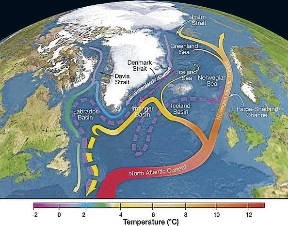 Der Nordatlantikstrom bringt Wärme nach Europa und kühlt sich im Polarmeer ab.