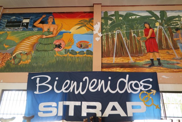 Die Gewerkschaft Sitrap kämpft für bessere Arbeitsbedingungen auf den Bananenplantagen in Costa Rica