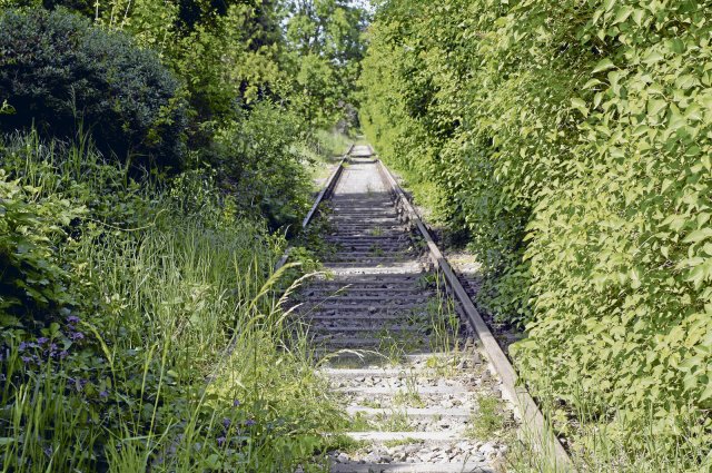 Manches Gleis in Brandenburg dämmerte jahrelang als Draisinenstrecke oder ungenutzt vor sich hin.