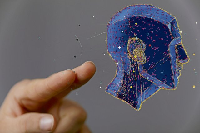 Zum Zeigen immer gut: 3D-Modell eines künstlichen menschlichen Kopfes