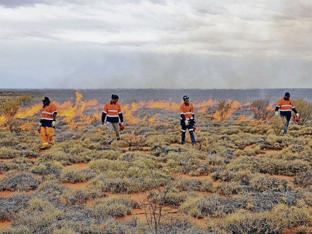 Die Yilka Rangers brennen gezielt die Vegetation am Boden ab.