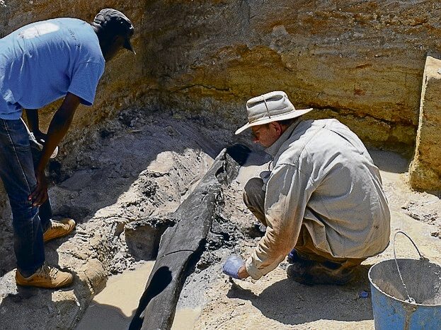Im Sand eingeschlossen blieb eine 476 000 Jahre alte Holzkonstruktion erhalten.
