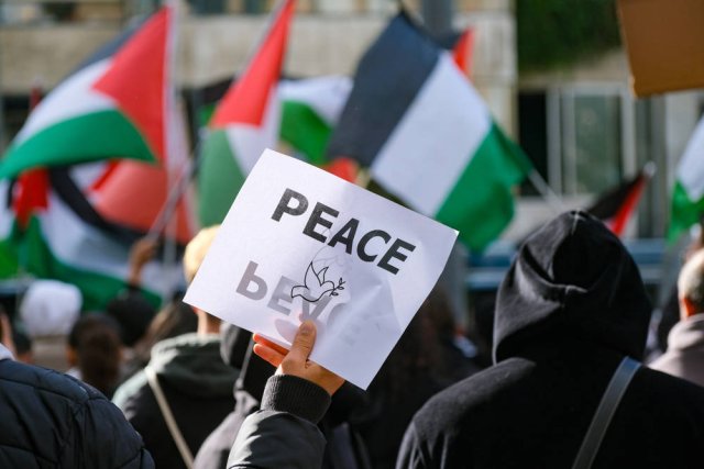 Eine Pro-Palästinensische Demonstration in Düsseldorf
