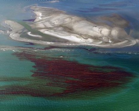 An den Barrieren um die Chandeleur-Inseln vor dem Mississippi-Delta staut sich ausgetretenes Öl Foto: AFP