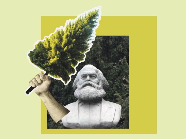Der Ökomarxismus geht davon aus, dass in den Analysen von Marx der systematische Zusammenhang von Kapitalismus und Naturzerstörung bereits erkannt ist.