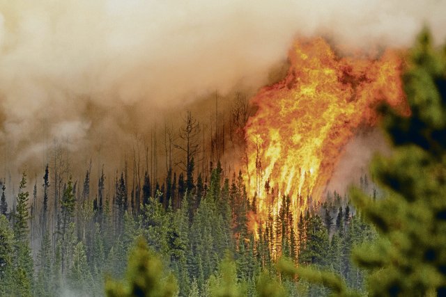 Auch im vergangenen Jahr brannte in Kanada der Wald, dieses Jahr...