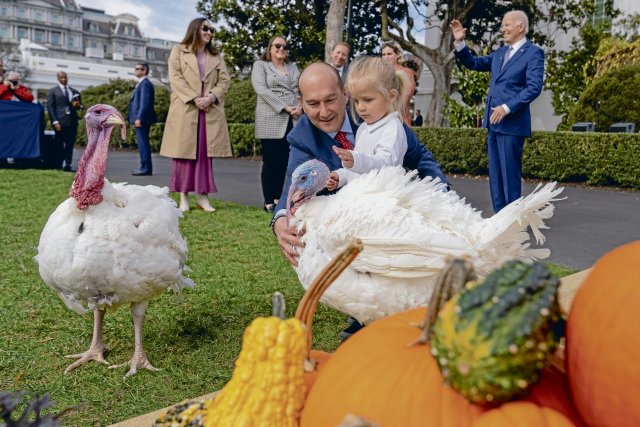 Beau Biden jr., Enkel von US-Präsident Biden, streichelt die nationalen Thanksgiving-Truthähne Liberty und Bell, nachdem sein Großvatter diese begnadigt hat.