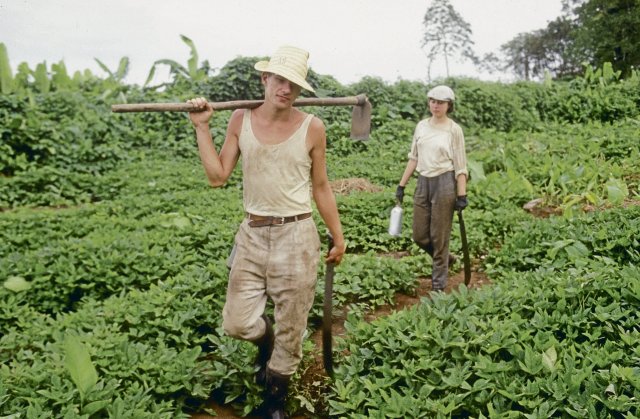 Nachdem die Sandinisten in Nicaragua die Diktatur abgeschafft hatten, brauchten sie Arbeitskräfte auf den Feldern. Es meldeten sich Linke aus Deutschland, um zu helfen.