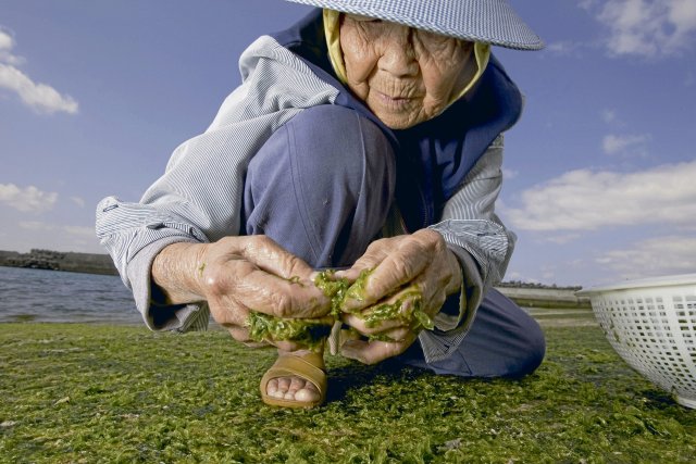 In der japanischen Provinz Okinawa werden die Leute besonders alt, was auch an der Ernährung liegt.