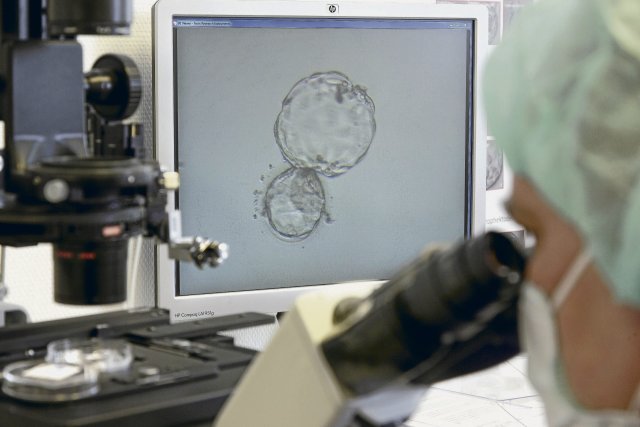 Bei der In-vitro-Fertilisation werden Eizelle und Spermium im Reagenzglas zusammengebracht. Der Eizellentnahme aus dem Körper geht eine belastende hormonelle Stimulation voraus.
