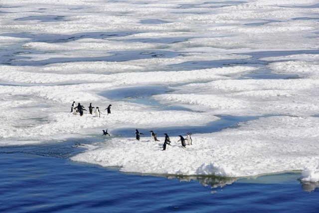 Das antarktische Meereis ist sowohl für das Leben darauf als auch darunter wichtig.