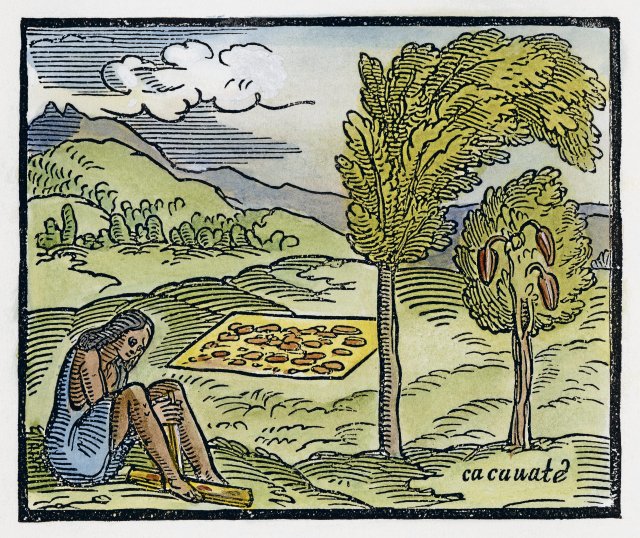 In seiner »Historia Del Mondo Nuovo« von 1563 stellt der Reisende Girolamo Benzoni die Kakaonutzung der Azteken dar.