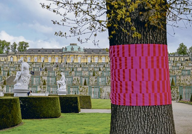 Dieser Baum vor der Kulisse von Schloss Sanssouci gehört zur Ausstellung »Re:Generation«.