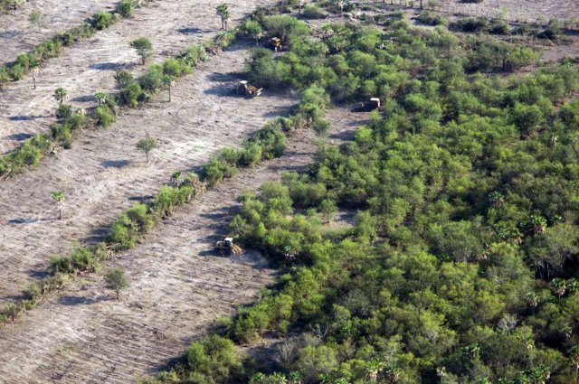 Undatierte Aufnahme aus der Region Gran Chaco in Paraguay. Für die Landwirtschaft werden dort mit Büschen und Bäumen bewachsene Flächen mit Planierraupen und Baumfällmaschinen entwaldet.