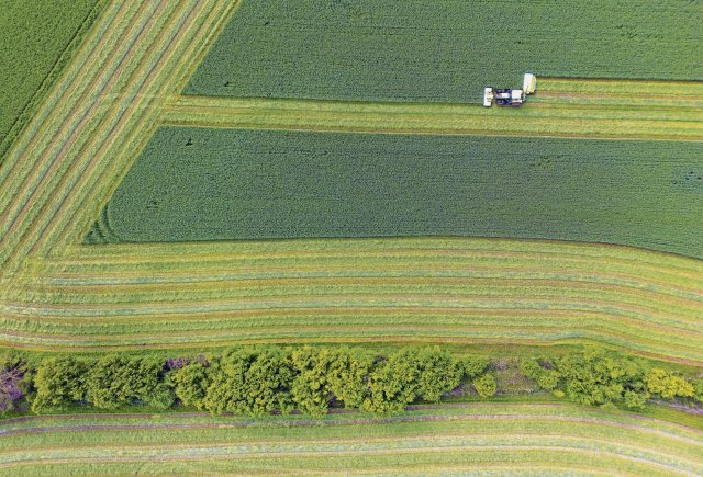 Wohl dem, der Land hat: Ein Bauer mäht ein Feld im Landkreis Oder-Spree.