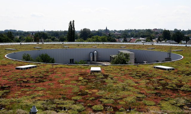 Kann Teil einer grünen Stadt sein: Dachbegrünung am Wissenschafts- und Wirtschaftsstandort Berlin-Adlershof