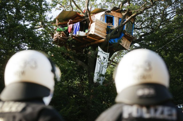 Polizisten stehen im Hambacher Forst am Fuße eines Baumes, in dem Aktivisten ein Baumhaus gebaut haben.