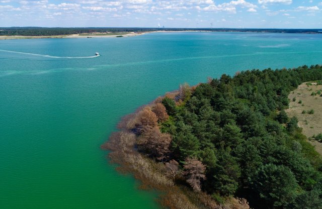Der Sedlitzer See