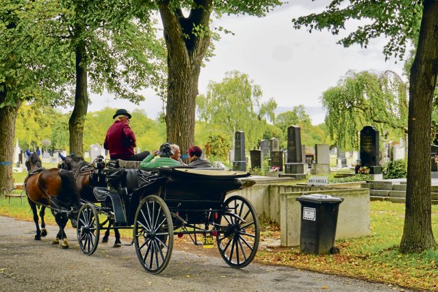 In the central cemetery you can traditionally explore the many facets of the park landscape with the fiaker.