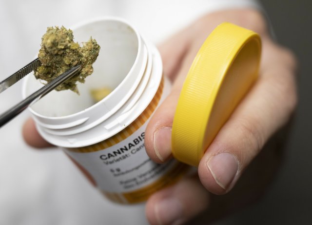 Cannabisblüten zur medizinischen Behandlung von einem hessischen...