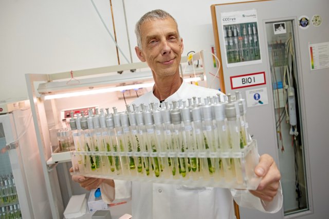 Thomas Leya erforscht und kultiviert am Fraunhofer-Institut in P...