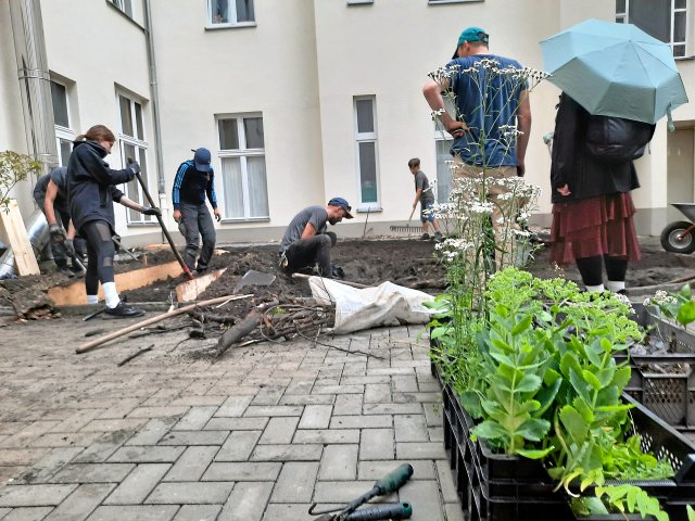 Einen Innenhof zu begrünen, macht viel Arbeit.