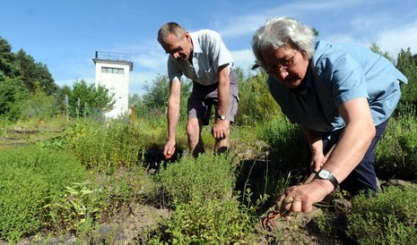 Einsatz für die Umwelt. Marian Przybilla und Helga Garduhn im Garten vor ihrem Naturschutzturm