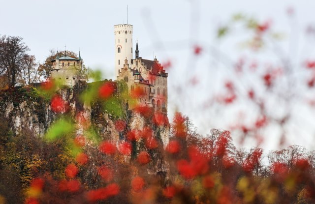 Hinter Hagebuttensträuchern: Blick auf das Schloss Lichtenstein auf der Schwäbischen Alb