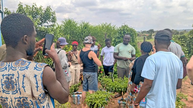 Schulung für Schüler*innen aus Nord und Süd in Permakultur im Ghana Permaculture Institute in Techiman