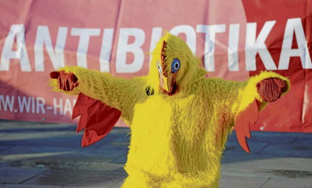 Protest gegen den Einsatz von Antibiotika in der Landwirtschaft:...