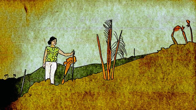 Illegale Brandrodung der Regenwälder von Myanmar