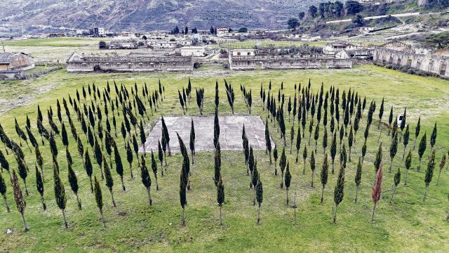 300 Zypressen erinnern an die Kinder, die in dem Lager in Tepelenë starben.