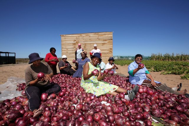 Reiche Ernte mit agrarökologischen Methoden