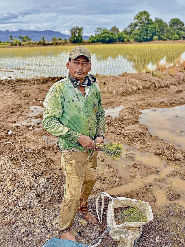 Der Reisbauer Antonio Prada arbeitet für verschiedene Familien. Wenn er einen Hektar bepflanzt, bekommt er etwa 230 Euro.