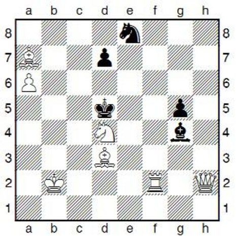 Zeitgenuss - Schachspiel: Nun wieder Nunn