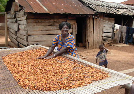 So geht's auch: Diese Kakaobäuerin aus dem Dorf Benim in der ghanaischen Ashanti-Region hat sich mit Hilfe eines Kredits der christlichen Mikrofinanz-Organisation Opportunity International selbstständig gemacht.