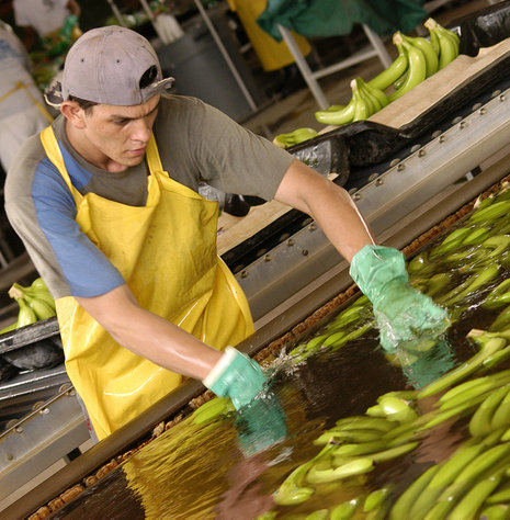 Die EU will freien Handel weit über Bananen hinaus.