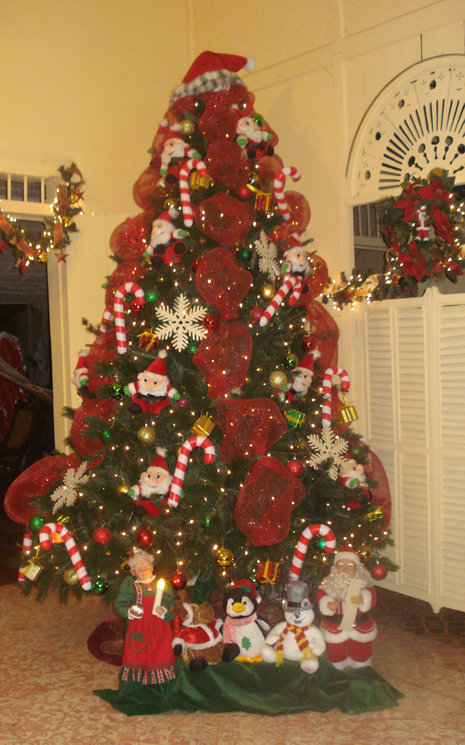 Ein Typischer Weihnachtsbaum in Nicaragua (links): Weil in dem tropischen Land keine Tannen wachsen, greift man auf die Plastik-Version zurück. ND-Karte: Wolfgang Wegener