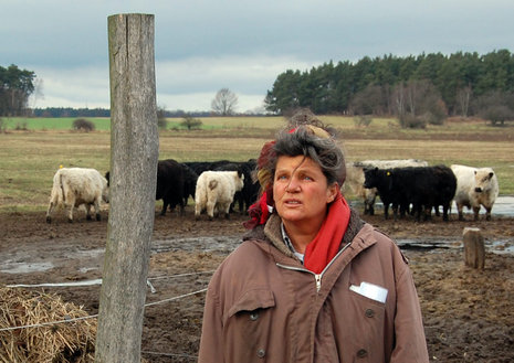 Die Landwirtin Sonja Moor hält ihre Viehherden vor allem in Hirschfelde, Landkreis Barnim. Ihre Galloway-Rinder sind täglich 24 Stunden auf der Weide und fressen Heu. Größere Betriebe aus der Biobranche schauen auf Sonja Moor, weil sie eine vorbildliche artgerechte Tierhaltung praktiziert. Ihr Hof arbeitet, wie der in Pretschen, nach den Richtlinien des Demeter-Verbandes.
