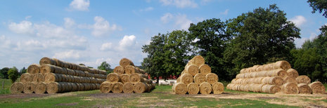 Das Landgut Pretschen im Spreewald betreibt seit 1999 ökologische Landwirtschaft. Auf dem Hof gibt es etwa 600 schwarz-bunte Rinder und Milchkühe. Ihr Futter stammt zum größten Teil aus eigener Wirtschaft: Mais, Getreide, Wiesen- und Kleegras. So meidet der Betrieb das Risiko dioxinbelasteter Futtermittel.